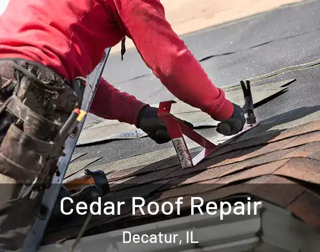  Cedar Roof Repair Decatur, IL