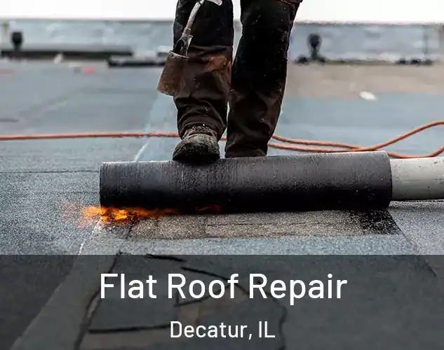  Flat Roof Repair Decatur, IL