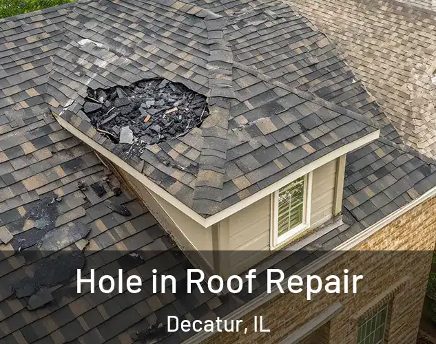  Hole in Roof Repair Decatur, IL