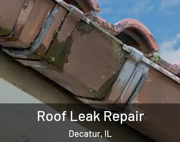  Roof Leak Repair Decatur, IL