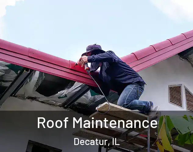  Roof Maintenance Decatur, IL
