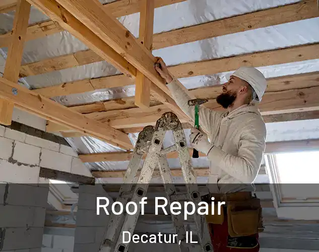  Roof Repair Decatur, IL