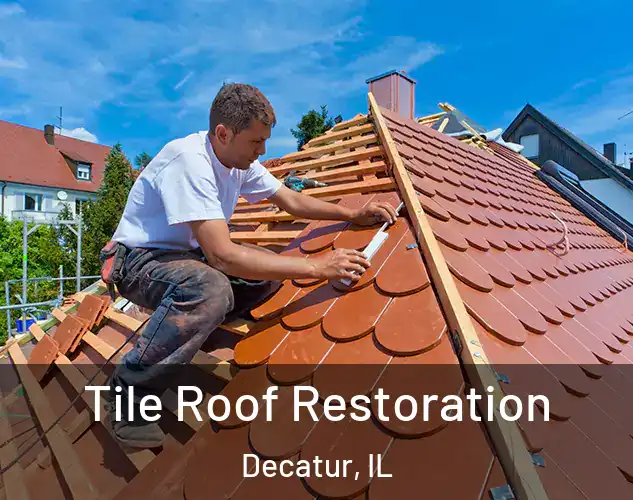  Tile Roof Restoration Decatur, IL